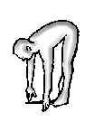 Stretching per femorali in piedi